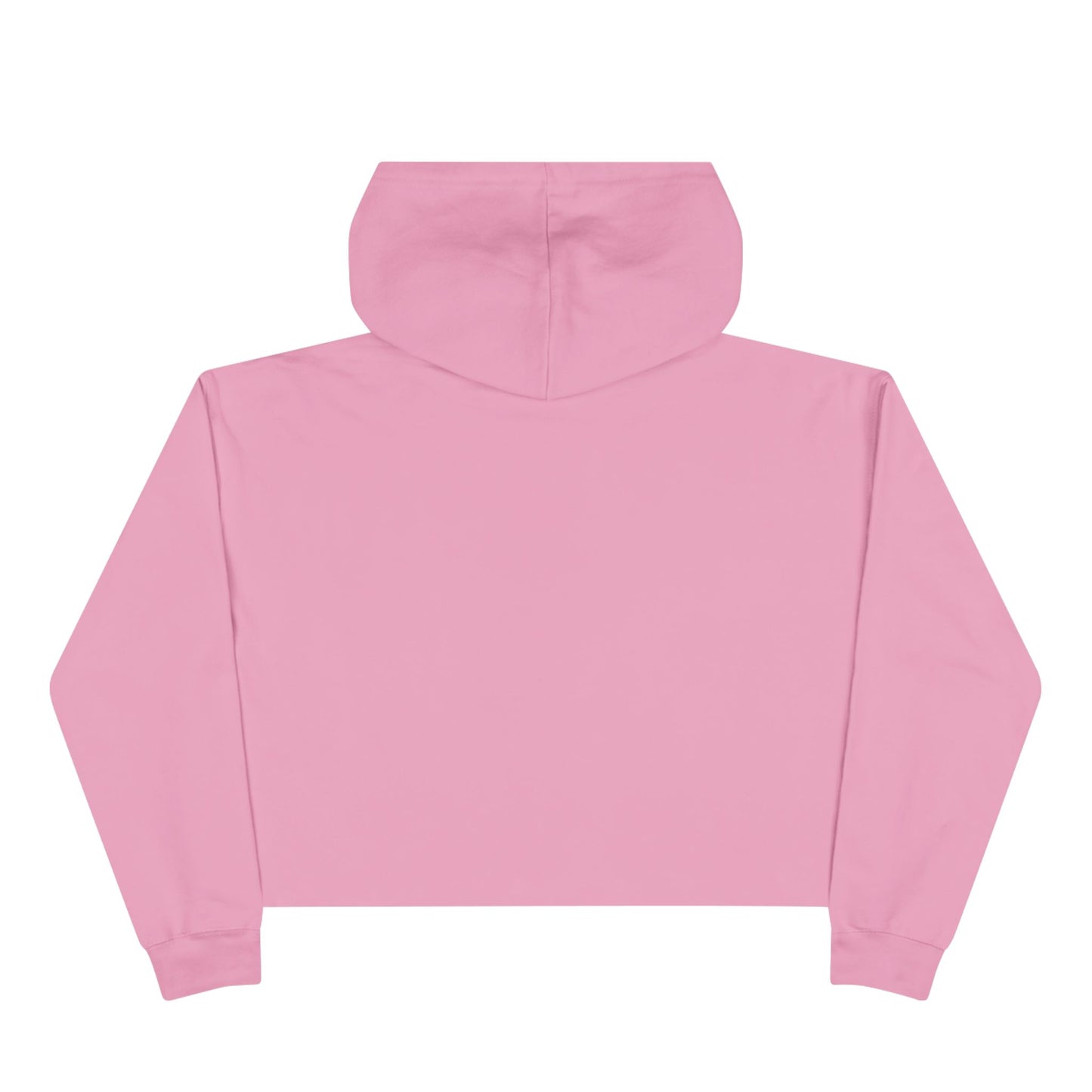 Fucktose Intolerant Crop Hoodie